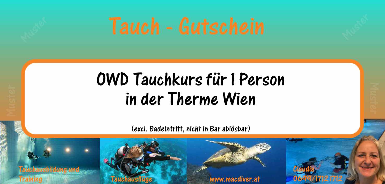 OWD Gutschein