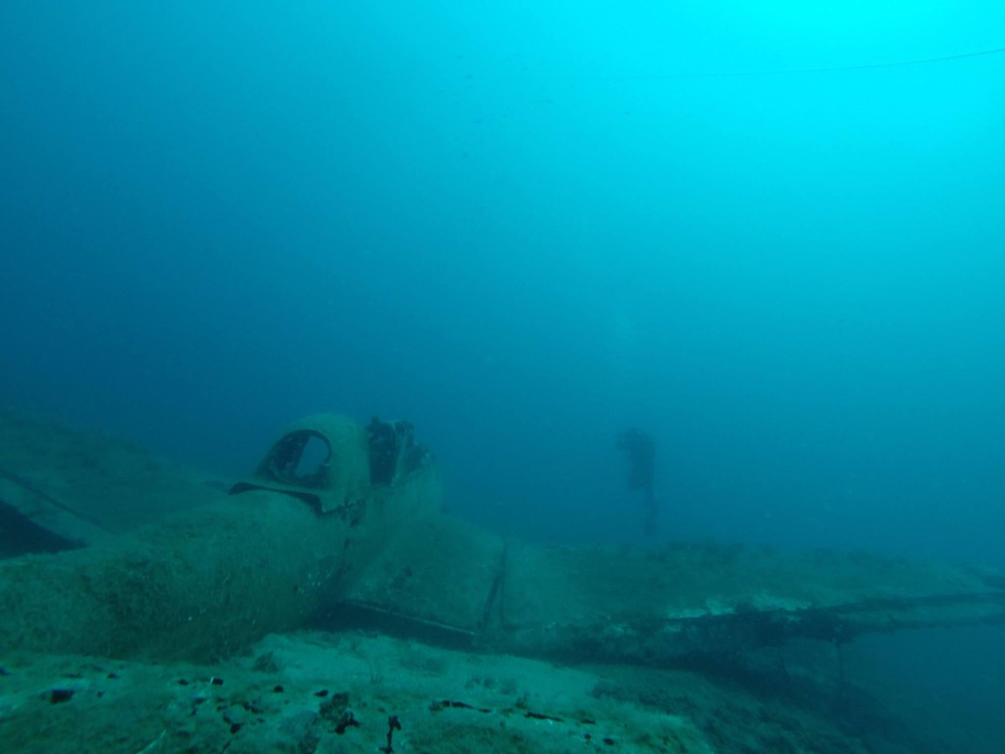 Wreck diving One