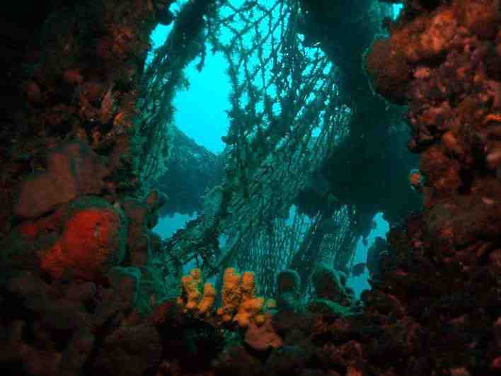 Wreck diving Three